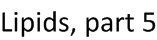 ../_images/4_h_Lipids_part_5.png